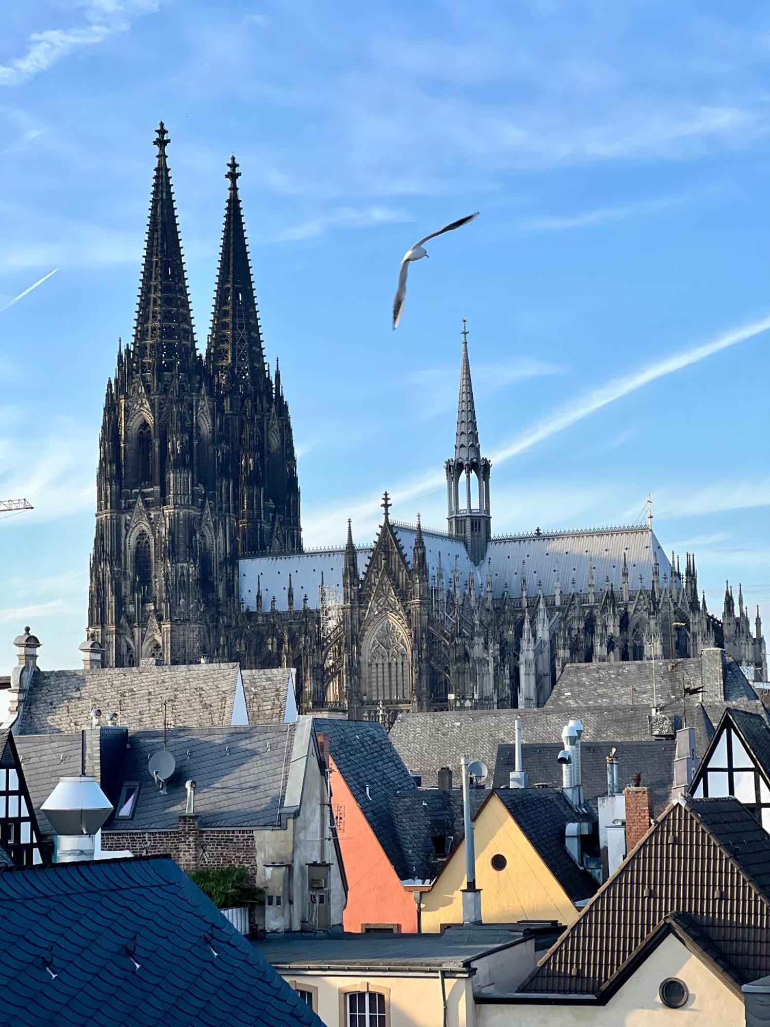 Altstadthotel Hayk Am Rhein Köln Exteriör bild
